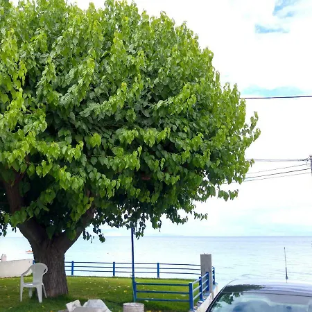 Papadogiannopoulos House 度假居 艾伊翁