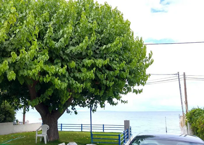 Papadogiannopoulos House 別荘 エギオ